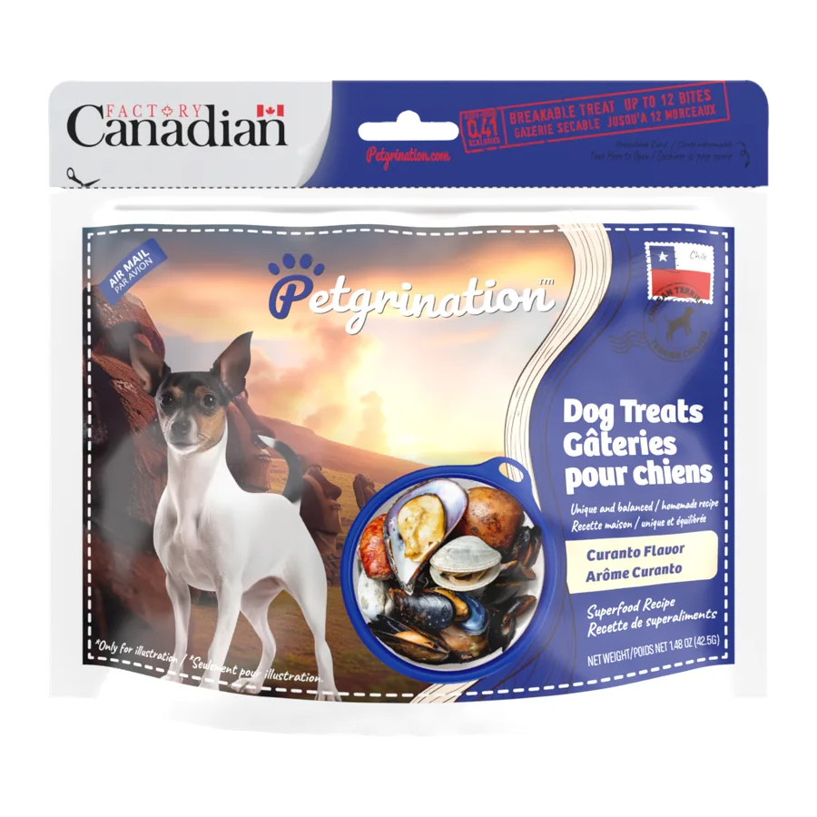 Petgrination Chile — Dog