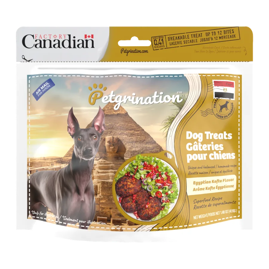 Petgrination Egypt — Dog