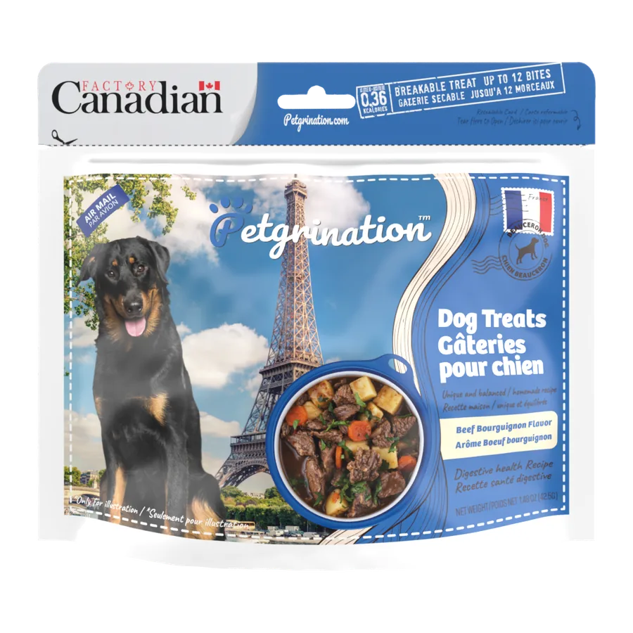Petgrination France — Dog