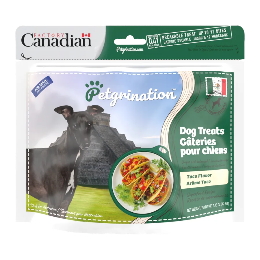 Petgrination Mexico — Dog