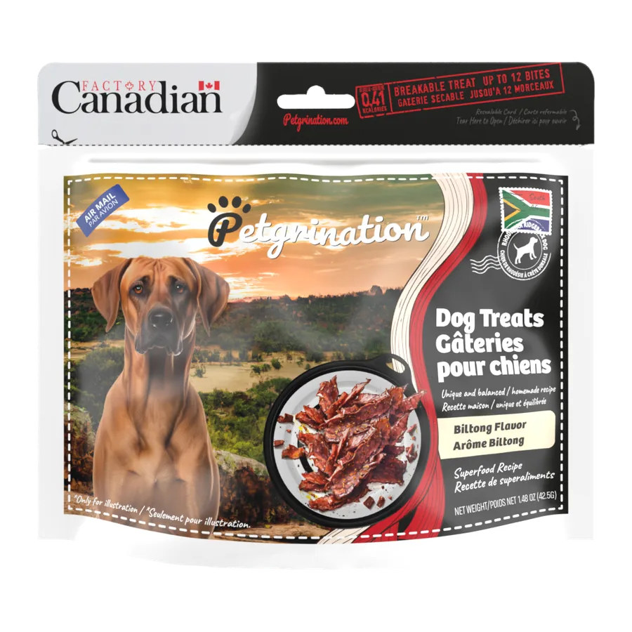 Petgrination South Africa — Dog