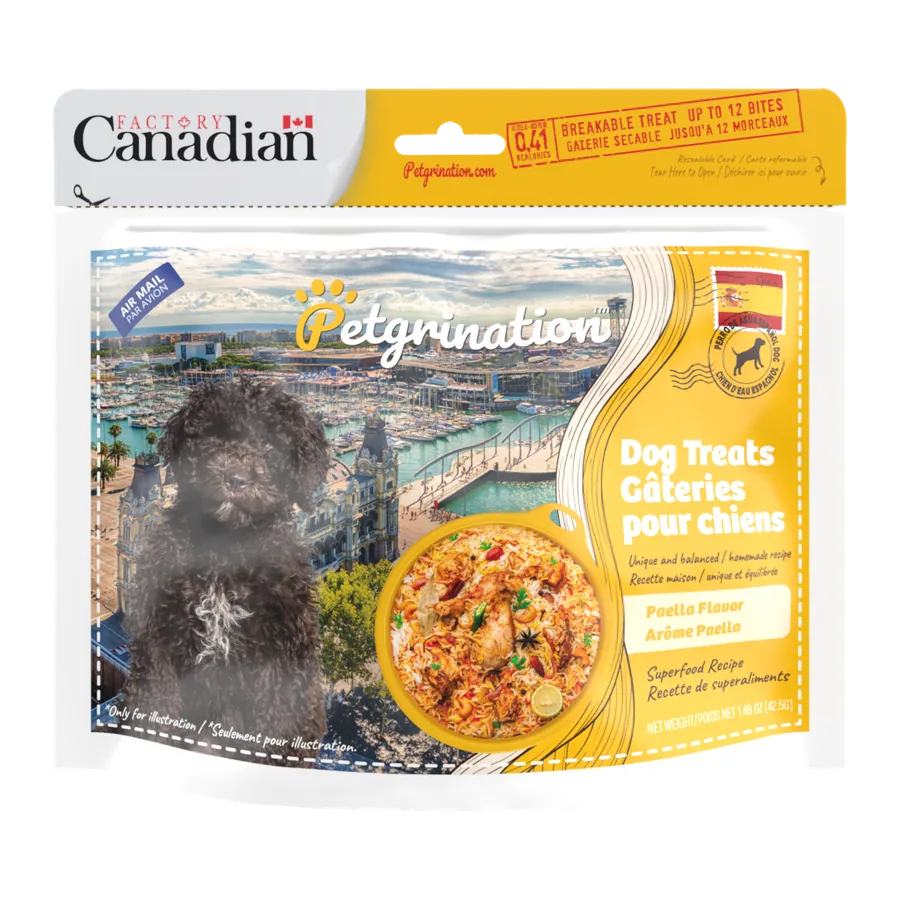 Petgrination Spain — Dog